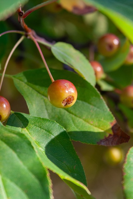 率的重要指 率的重要指
