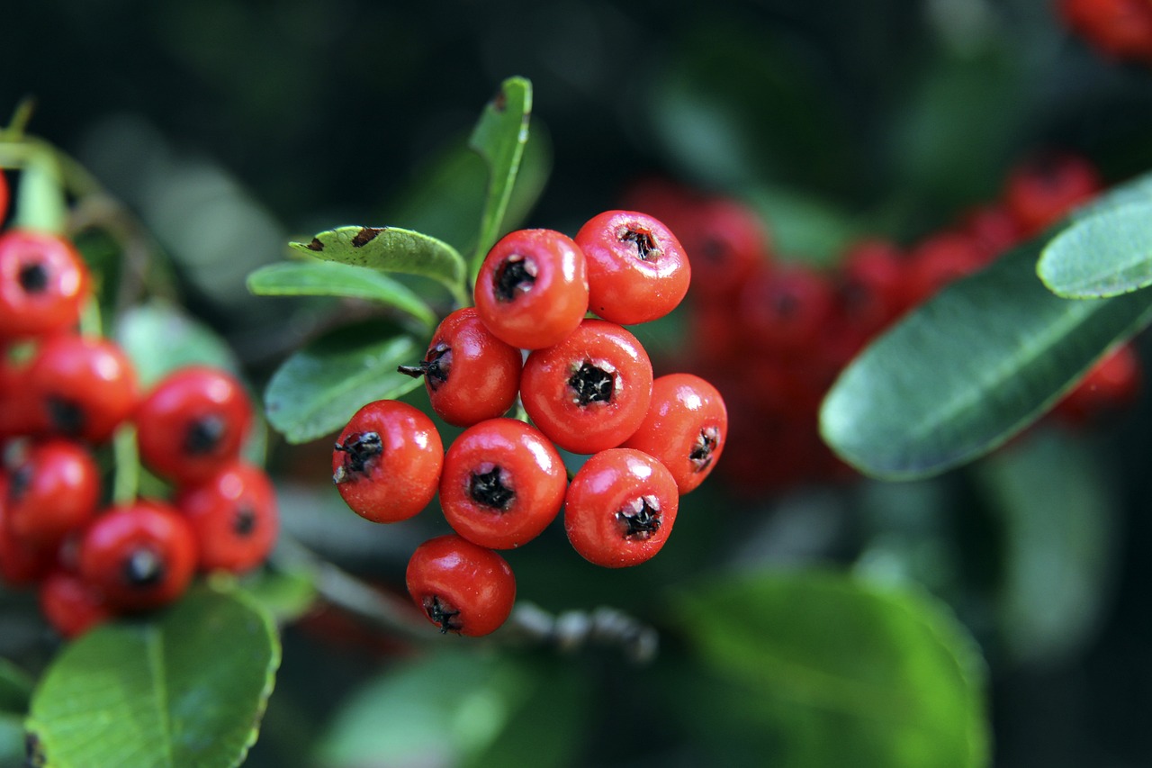 全球聚焦的 全球聚焦的