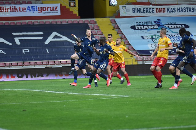 对他的职业 对他的职业