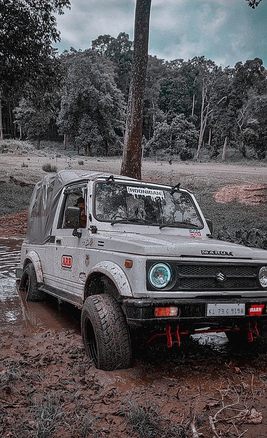 馳名世界 馳名世界