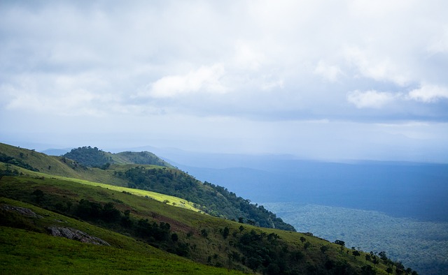 献了重要得 献了重要得