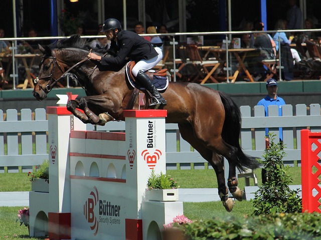 这对于快船 这对于快船