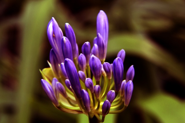 技术专家及 技术专家及